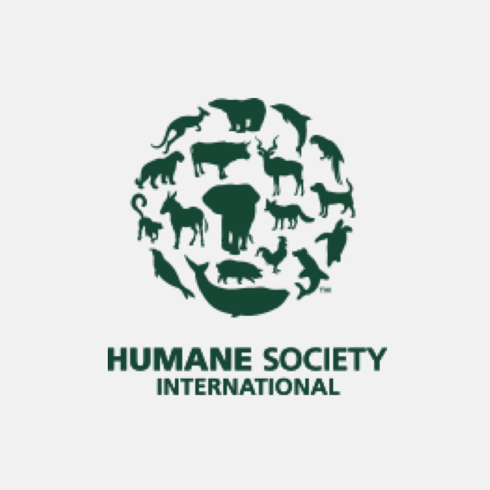 International humane society v6 cummins