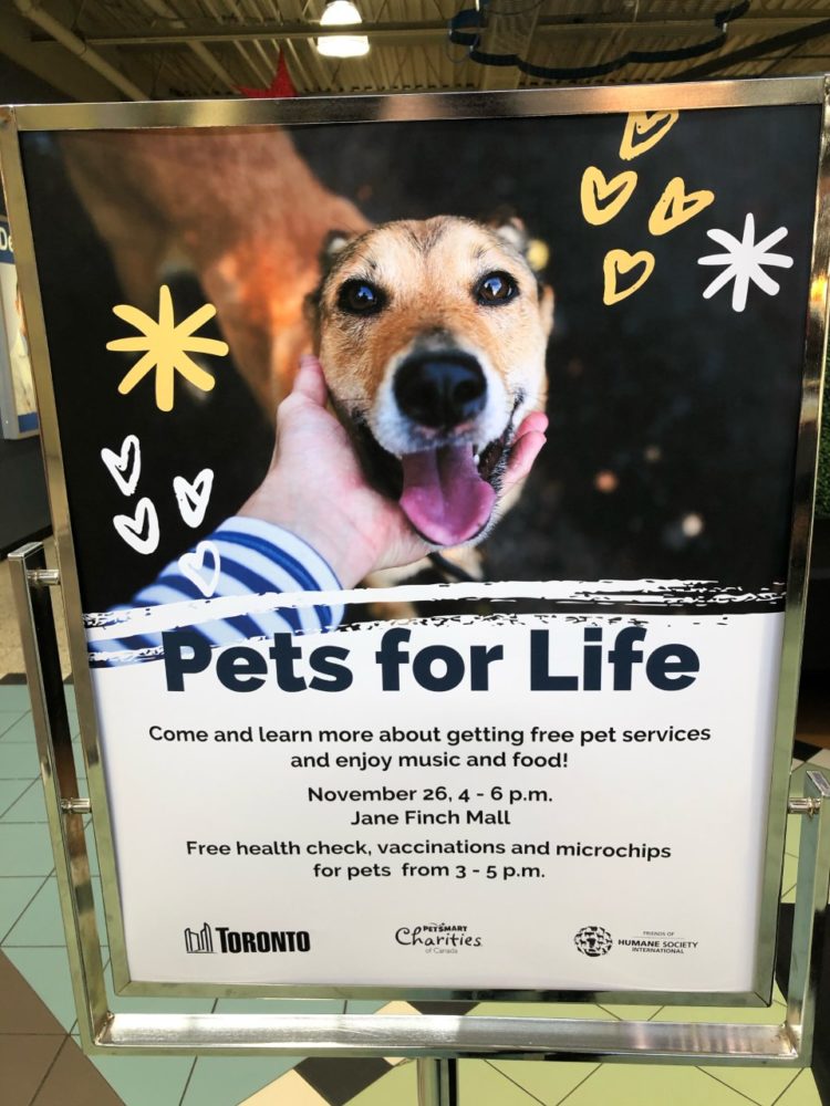 Humane Society International/Canada, Toronto Animal Services debut Canadian  Pets For Life program in Jane and Finch neighbourhood - Humane Society  International