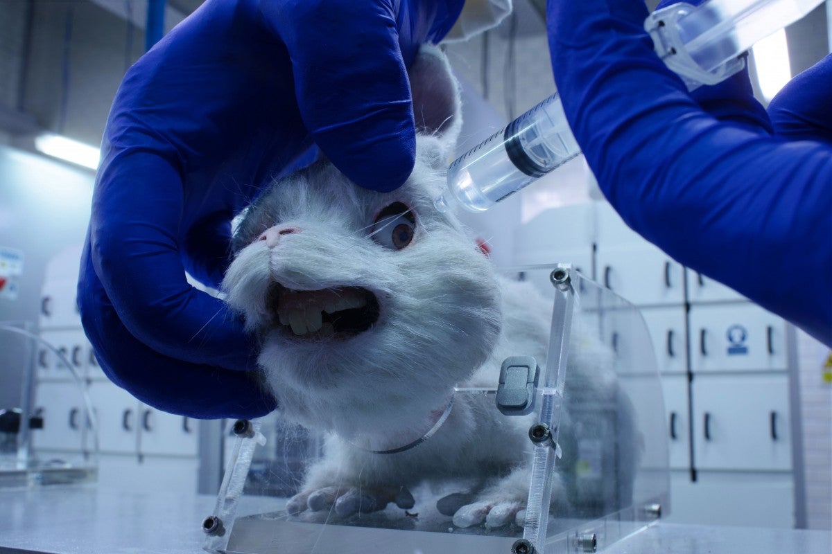 European citizens demand an end to animal testing - Humane Society  International