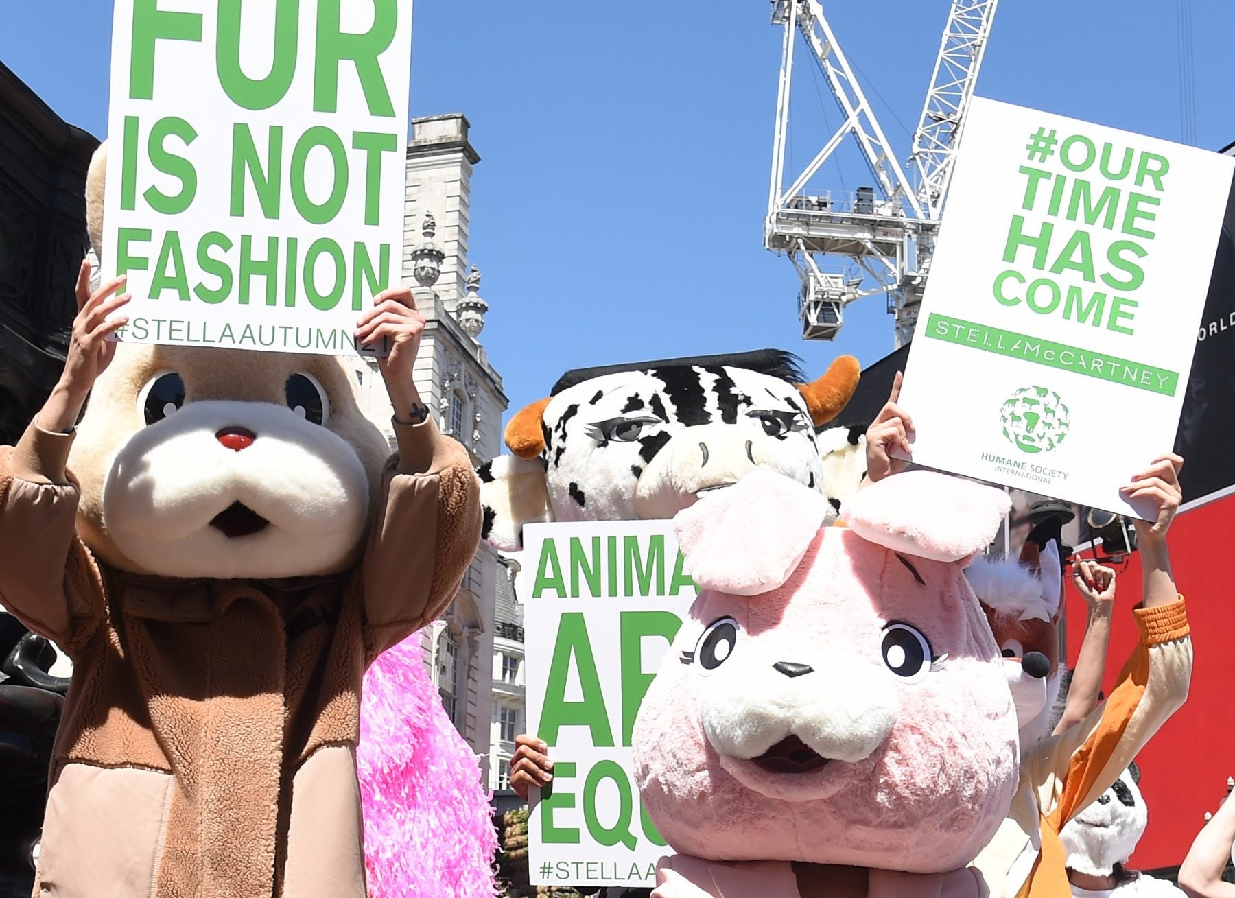 Celebrities join Stella McCartney and Humane Society International campaign  to end fur cruelty in fashion - Humane Society International