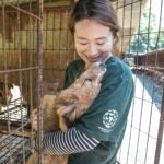 Rescued from a dog meat farm