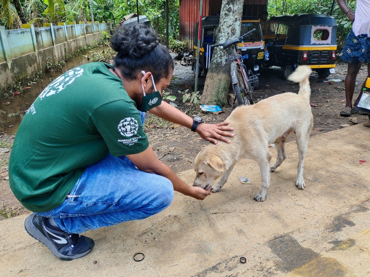 Humane Society International/India provides relief to animals affected in Kerala  floods - Humane Society International