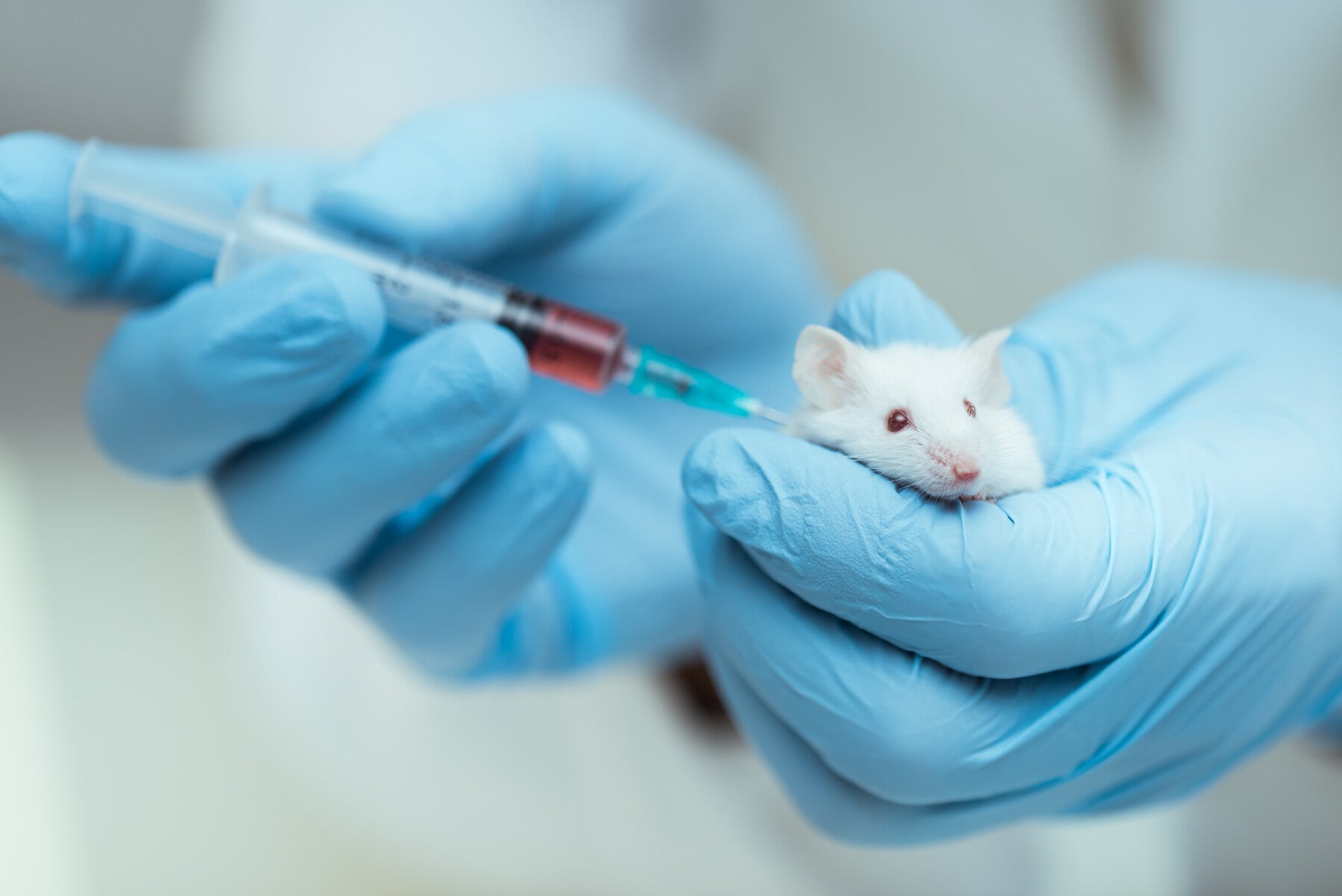 Limitations of Animal Tests - Humane Society International