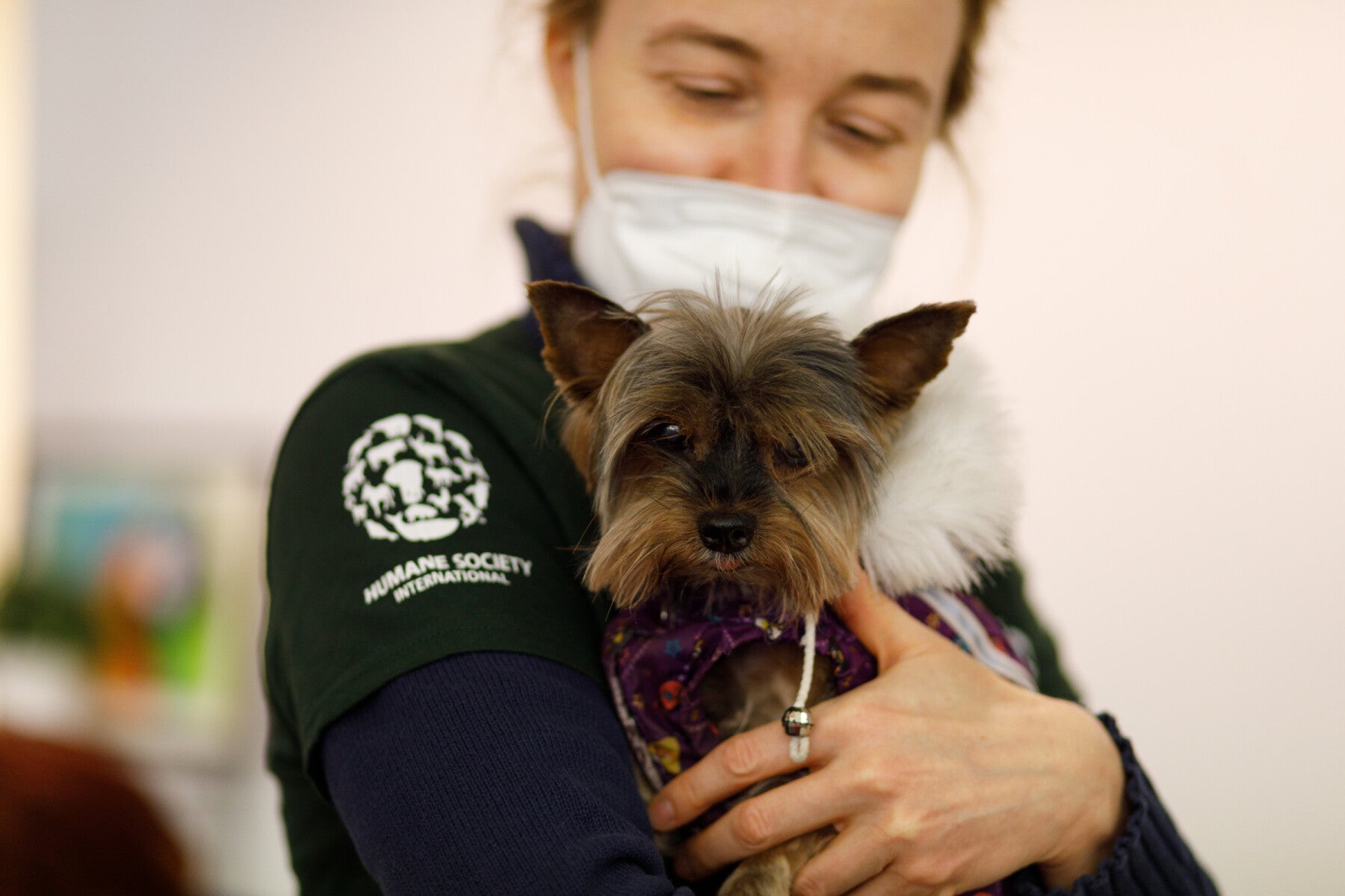 Pets and people fleeing Ukraine provided comfort amid the crisis by animal  charity Humane Society International - Humane Society International