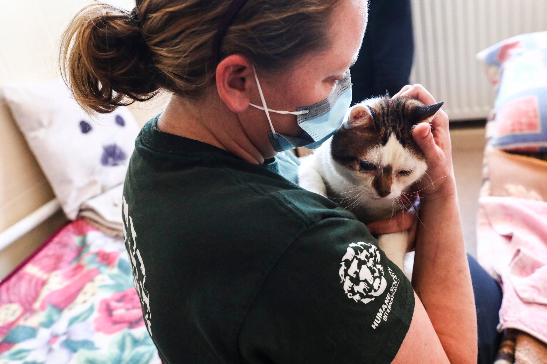 HSI's Kelly Donithan with Ukraine's refugee cat