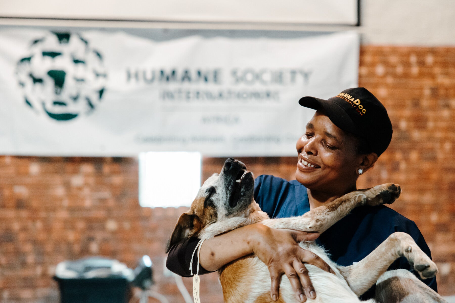 Healthy Pets, Healthier Community program launches in Struisbraai and Bredasdorp, helping hundreds of dogs and cats