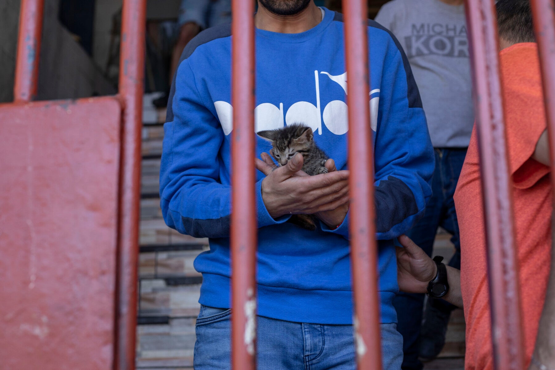 Humane Society International y Fundación Felinnos brindan atención veterinaria a gatos en centros penales de Chile