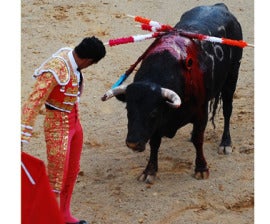 Bullfighting: Animal Cruelty Never Justified as Cultural Privilege - Humane  Society International