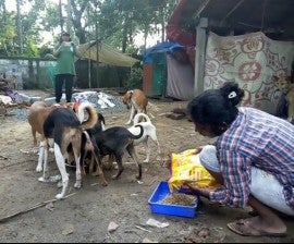 KERALA FLOODS: Hundreds of people call HSI/India's animal rescue helpline  to save beloved pets after rescue boats refused to evacuate animals -  Humane Society International